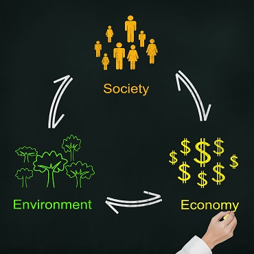 Environmental Sustainability Skills - Skills Impact